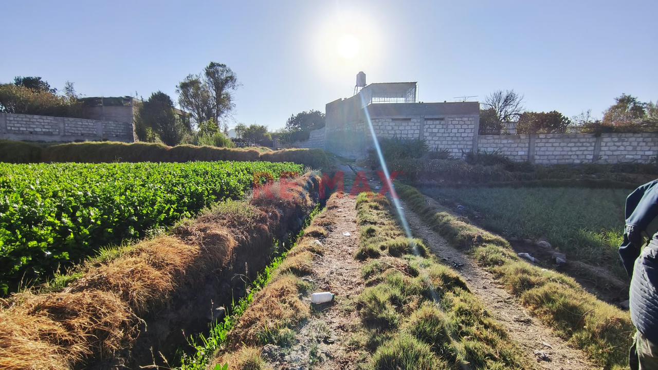 Terreno Agricola En Venta En Tio Grande En Sachaca En Arequipa - 8