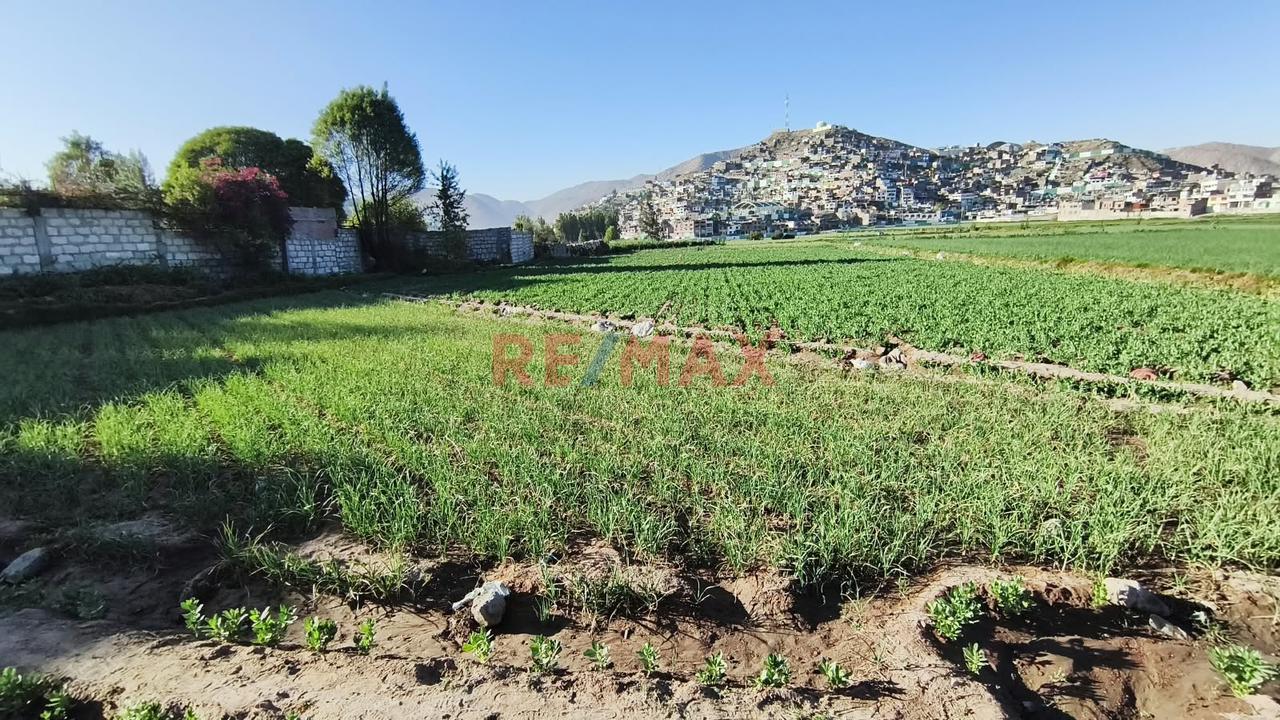 Terreno Agricola En Venta En Tio Grande En Sachaca En Arequipa - 1