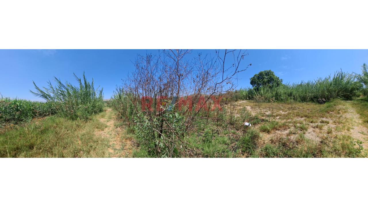 🌿 ¡Oportunidad Única De Inversión O Proyecto De Campo En Santa María - Huacho! 🌿 - 4