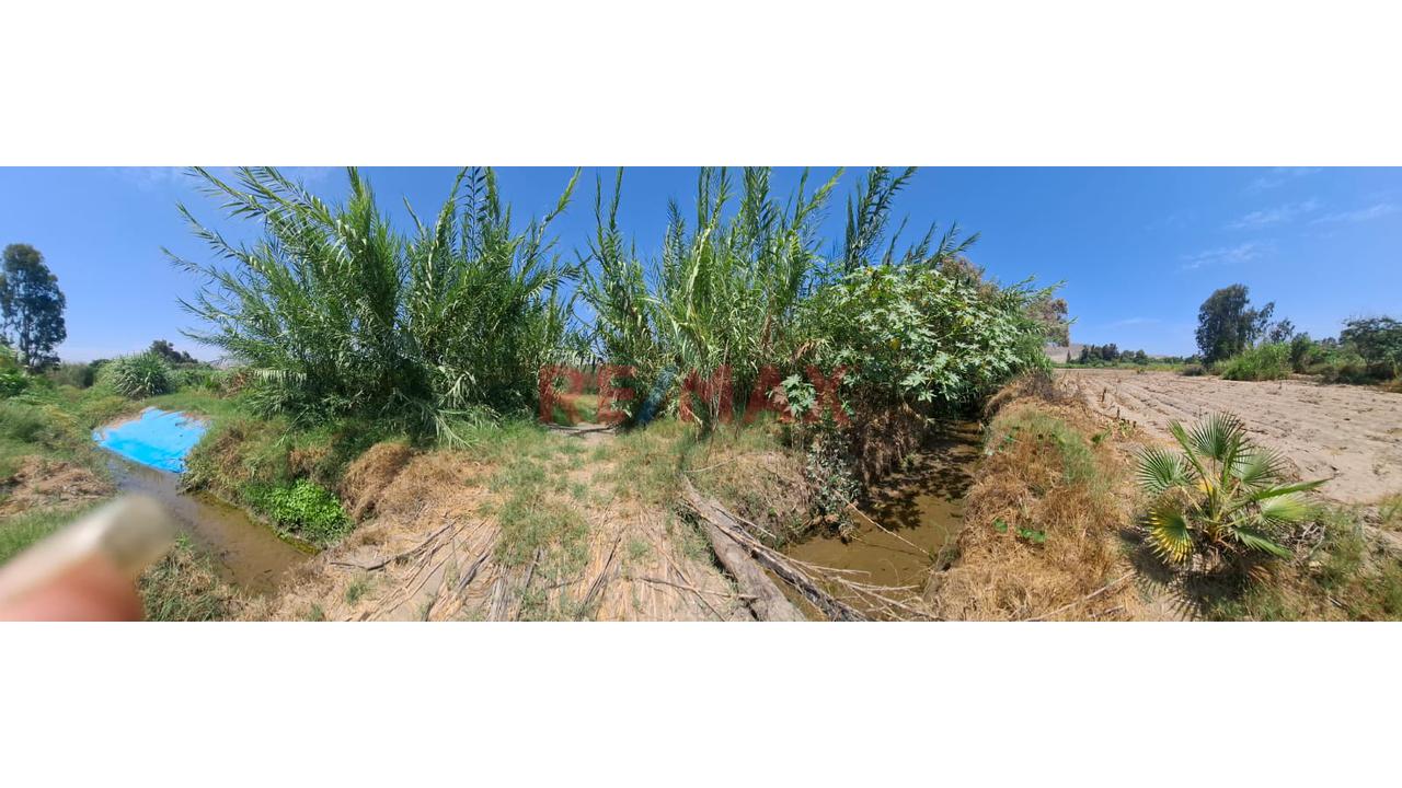 🌿 ¡Oportunidad Única De Inversión O Proyecto De Campo En Santa María - Huacho! 🌿 - 5