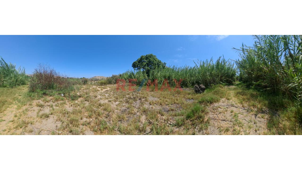 🌿 ¡Oportunidad Única De Inversión O Proyecto De Campo En Santa María - Huacho! 🌿 - 2