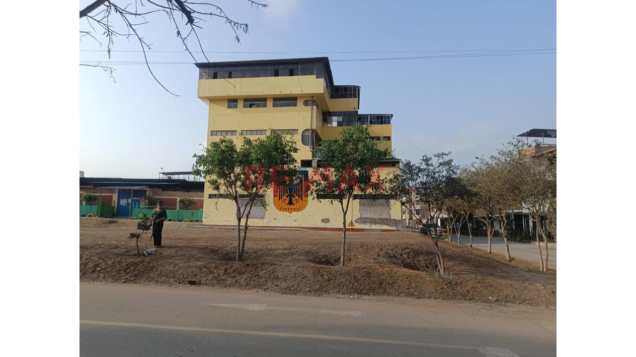 📍 ¡Oportunidad De Inversión En Terreno De José Gálvez! 📐✨ - 6