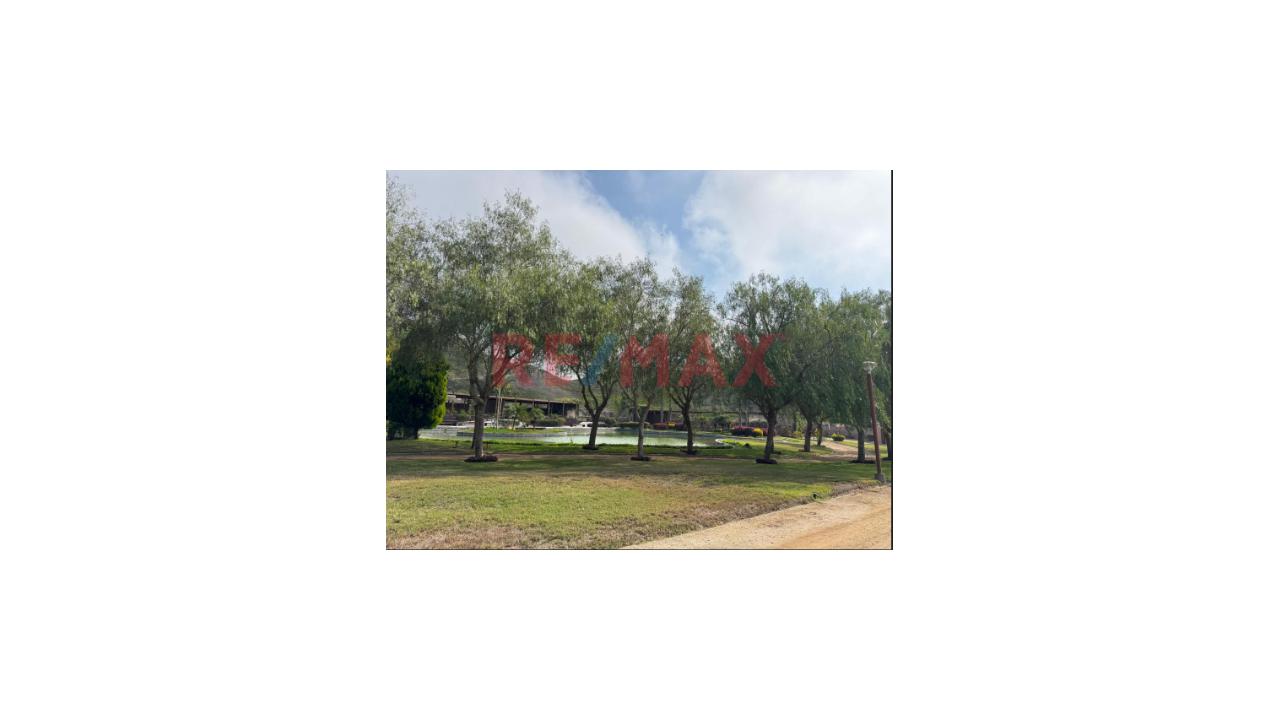 Terreno En Venta En Condominio - Asia - 5