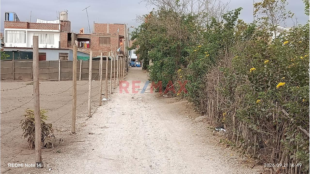 🏡 Amplia Casa Con Terreno Y Área De Cultivo En Grocio Prado — foto 2