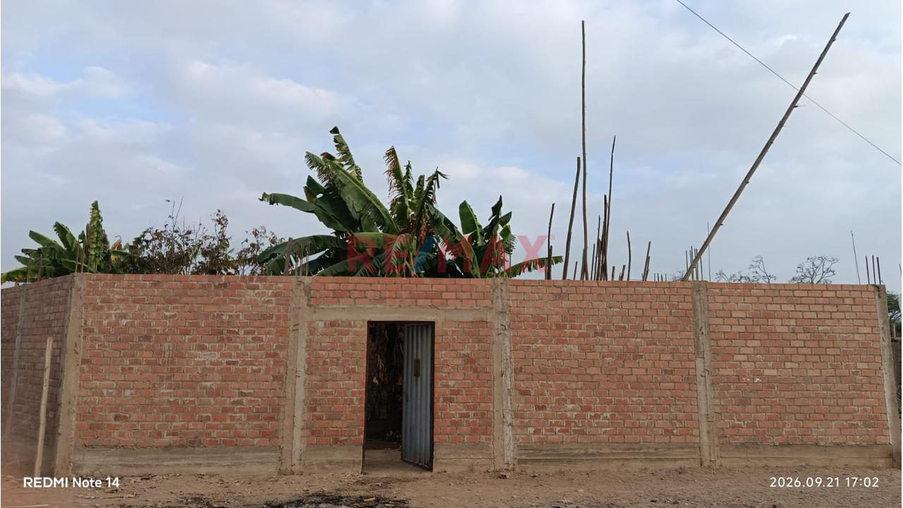 🏡 Amplia Casa Con Terreno Y Área De Cultivo En Grocio Prado - 16