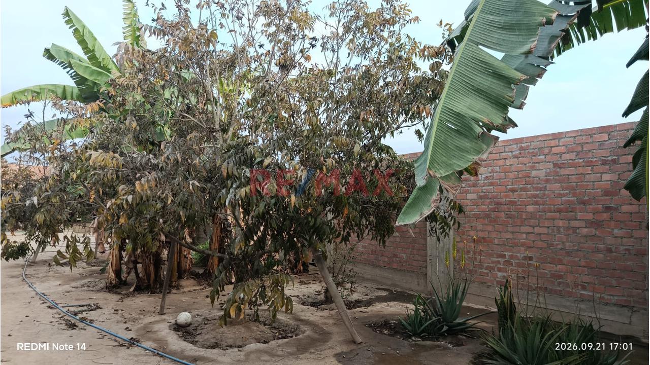 🏡 Amplia Casa Con Terreno Y Área De Cultivo En Grocio Prado - 14