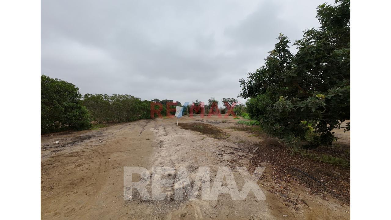 Terreno En Venta En El Hermoso Y Exclusivo Condominio Alto Pradera De Asia – Km 100 Panamericana — foto 15