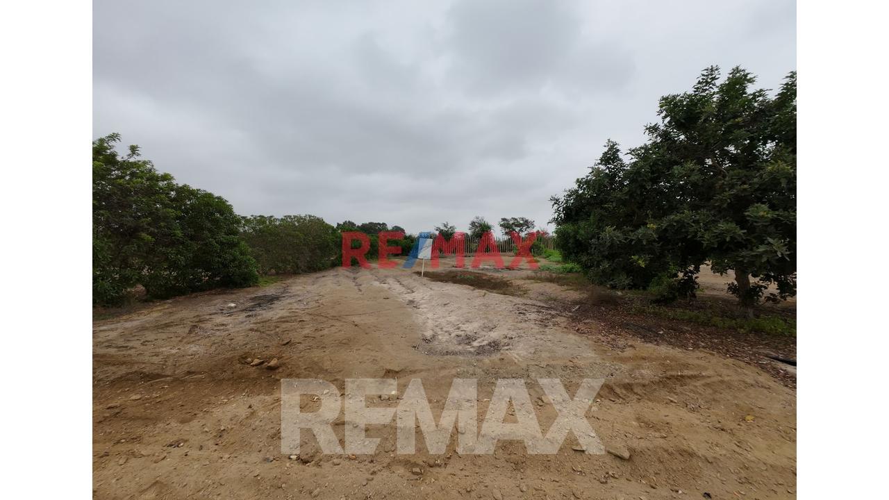 Terreno En Venta En El Hermoso Y Exclusivo Condominio Alto Pradera De Asia – Km 100 Panamericana - 6