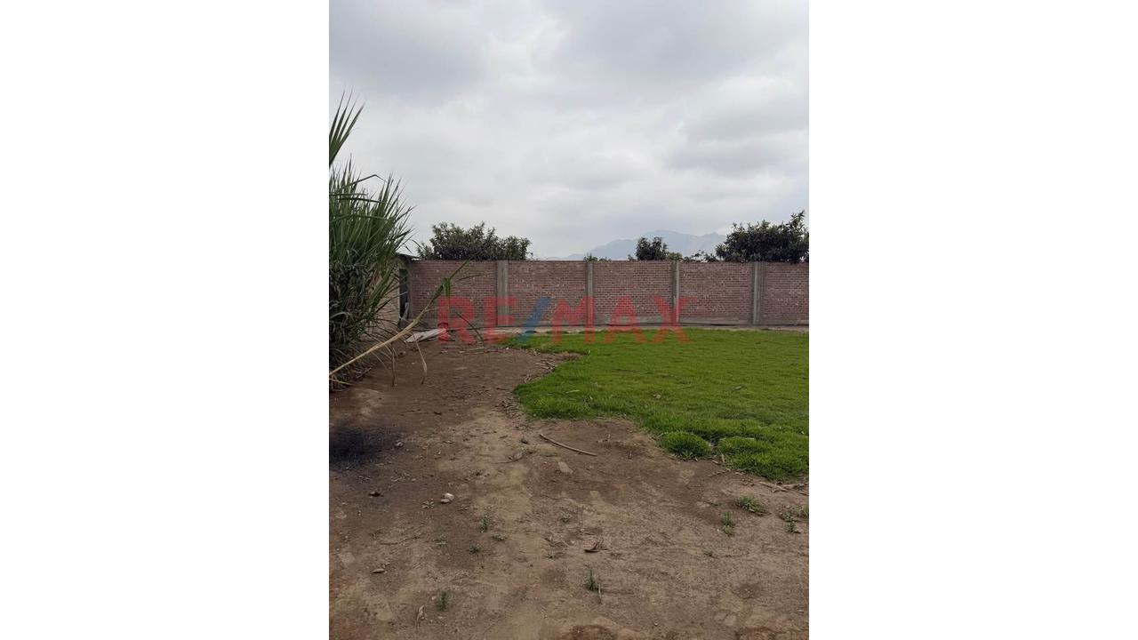 Terreno Agrícola De 2 Hectáreas Con Riego En Aucallama, Huaral - 9