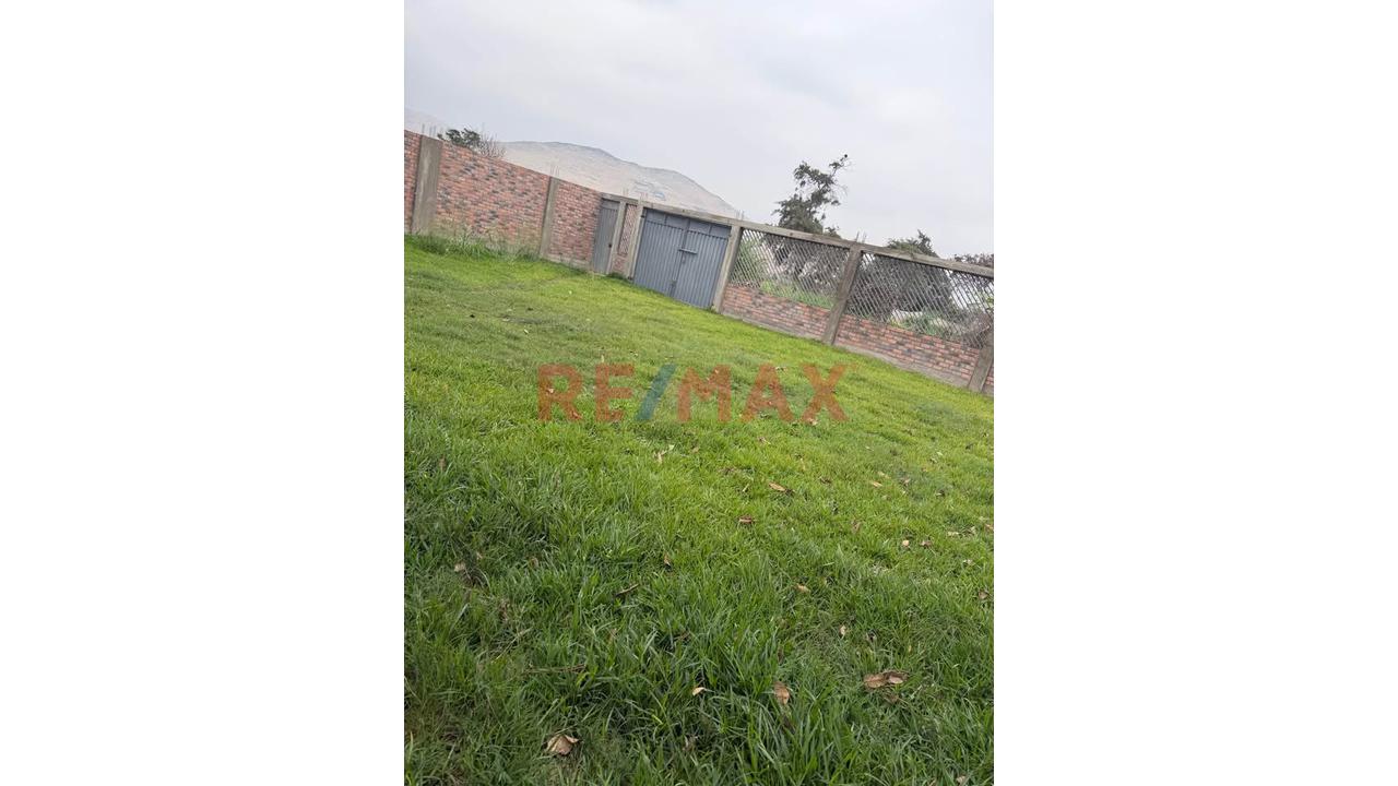 Terreno Agrícola De 2 Hectáreas Con Riego En Aucallama, Huaral - 6