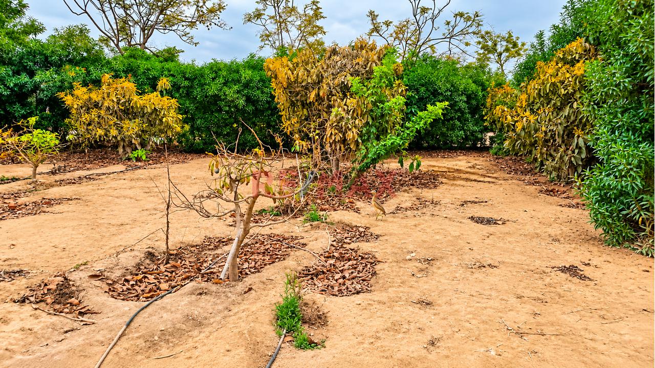 Se Vende Terreno De 565.36 M² En Condominio Rodeado De Naturaleza Y Seguridad - 4