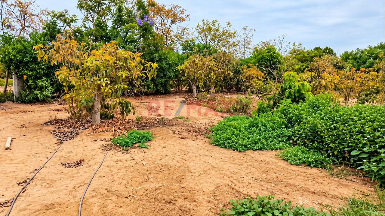Se Vende Terreno De 565.36 M² En Condominio Rodeado De Naturaleza Y Seguridad - 2