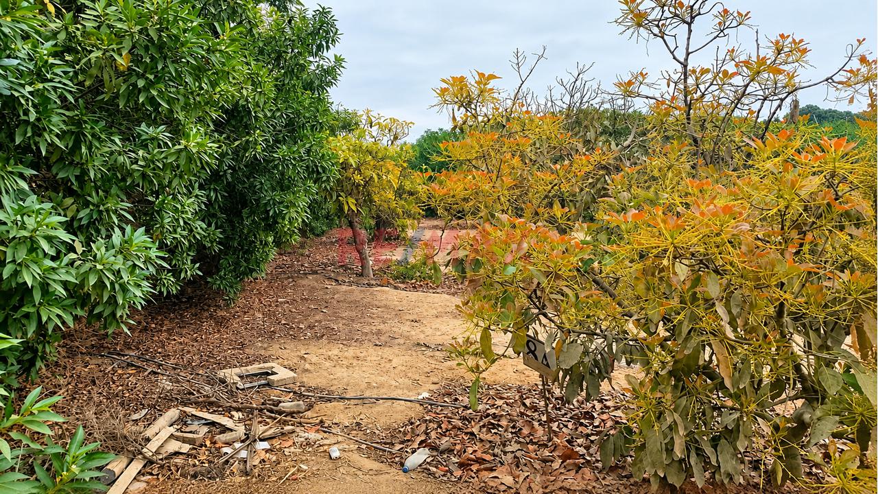 Se Vende Terreno De 565.36 M² En Condominio Rodeado De Naturaleza Y Seguridad - 3