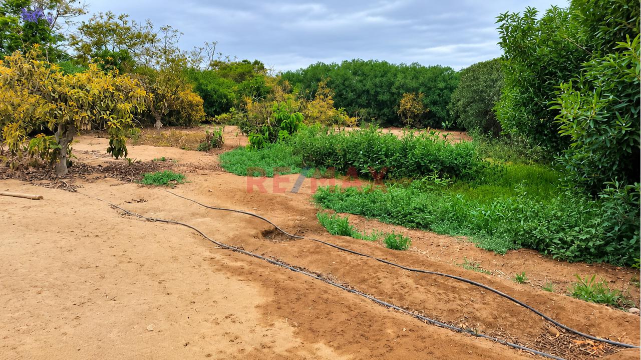 Se Vende Terreno De 565.36 M² En Condominio Rodeado De Naturaleza Y Seguridad - 5