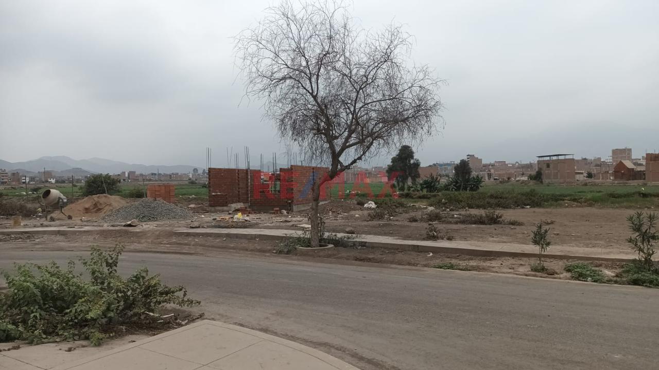 Vendo Amplio Terreno En Urb. Santa Paula Iii, Puente Piedra 🌳✨ - 4