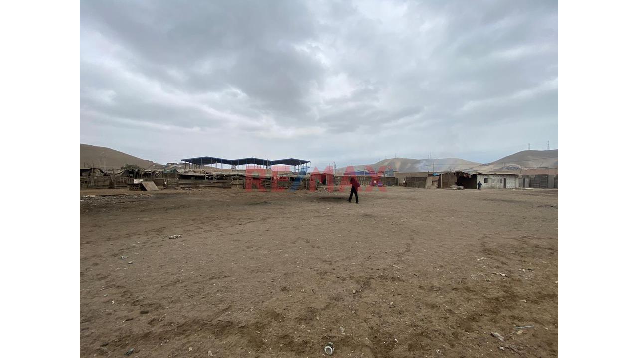 Venta De Terreno En Ventanilla - 11