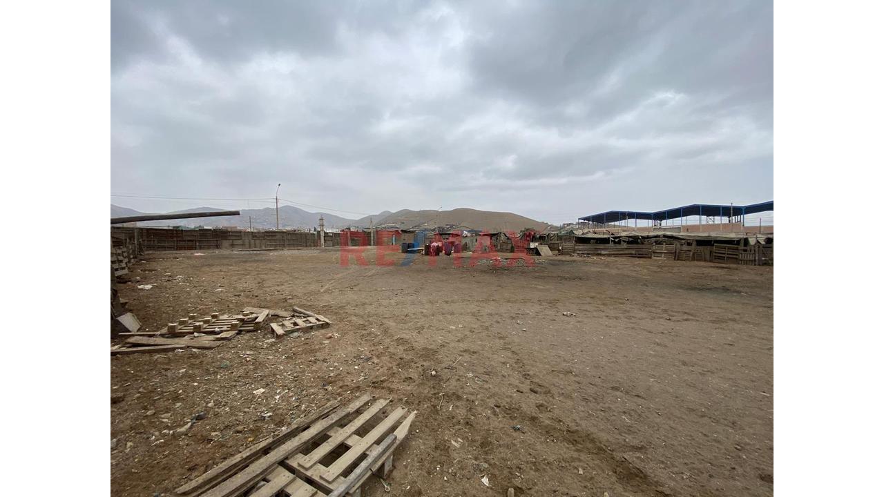 Venta De Terreno En Ventanilla - 10