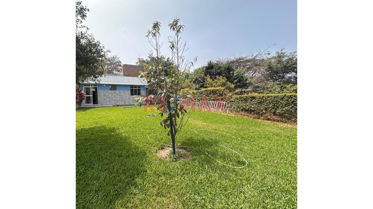 🌿☀️🏡 ¡Atención Familias E Inversionistas! 🏡✨ Amplia Casa En Venta En Huachipa Norte 📍🌳 – Naturaleza 🌿, Amplios Jardines 🌺🌴, Excelente Clima ☀️🌤️ Y Espacio Para Crecer 📐🏗️, Ampliar 🏠 Y Dise - 21