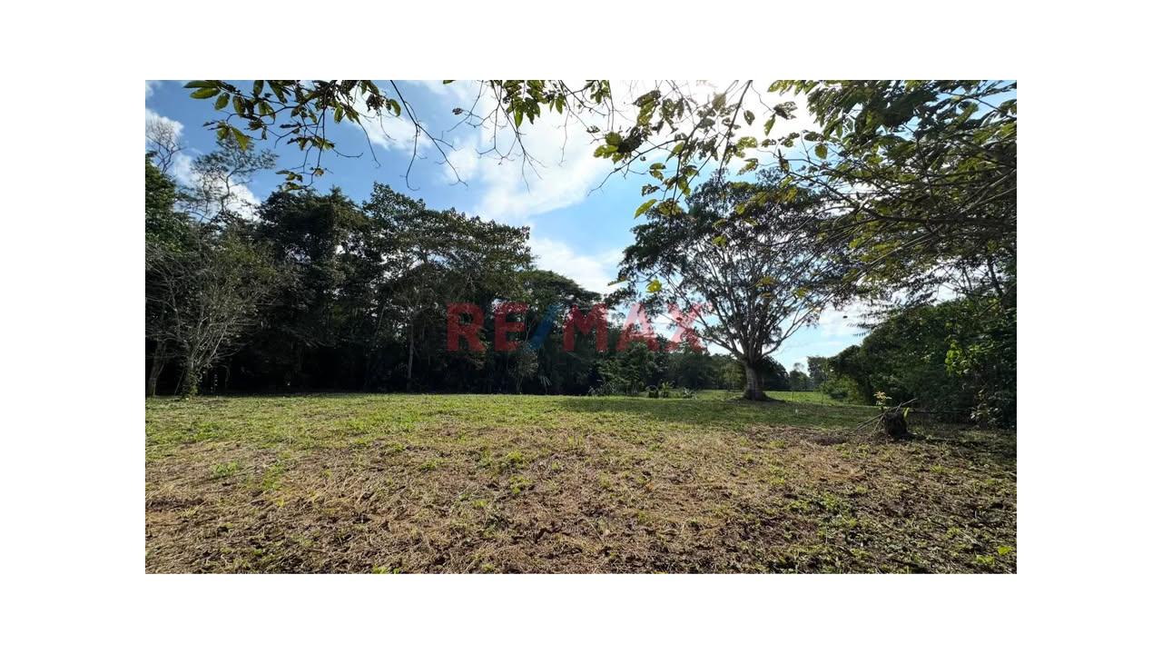 Terreno De 28.48 Ha Frente A La Carretera Interoceánica – Valle Yaverija, Tahuamau - Iñapari - Madre De Dios” - 3