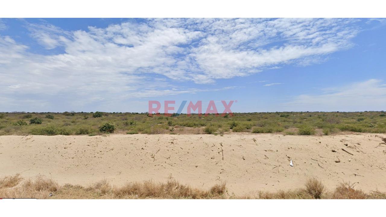 Venta De Terreno En Carretera Piura Tambogrande 14.49 Hectáreas - 2