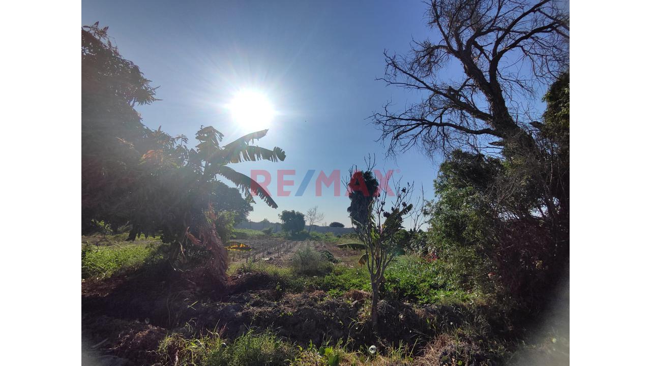 Venta Terreno En Santa Maria - Huaura - La Campiña - 3
