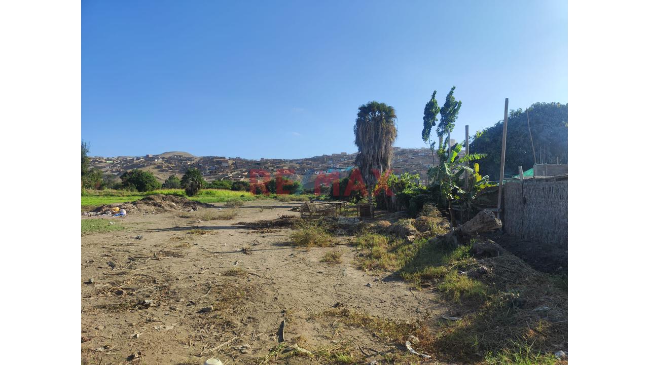 Venta Terreno En Santa Maria - Huaura - La Campiña - 6
