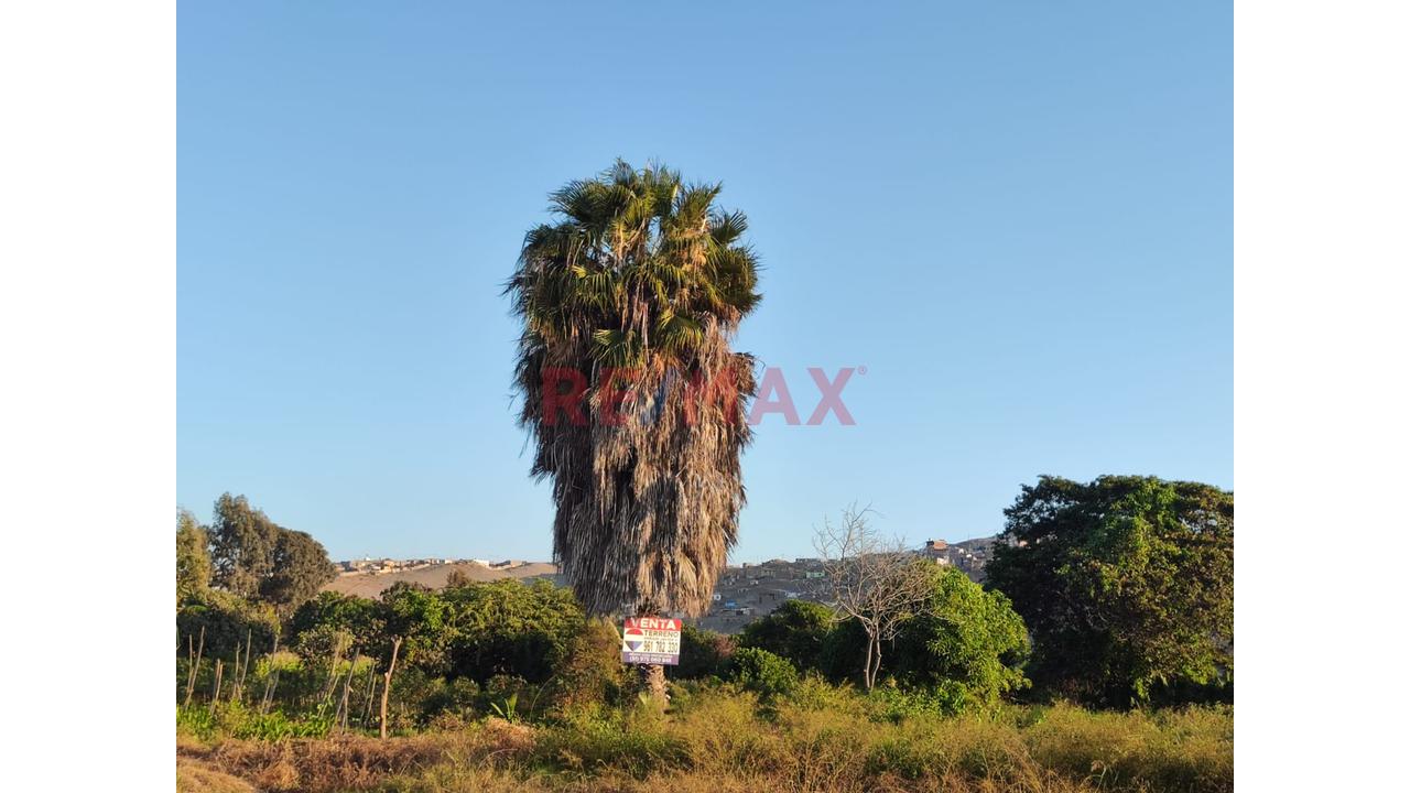 Venta Terreno En Santa Maria - Huaura - La Campiña - 5