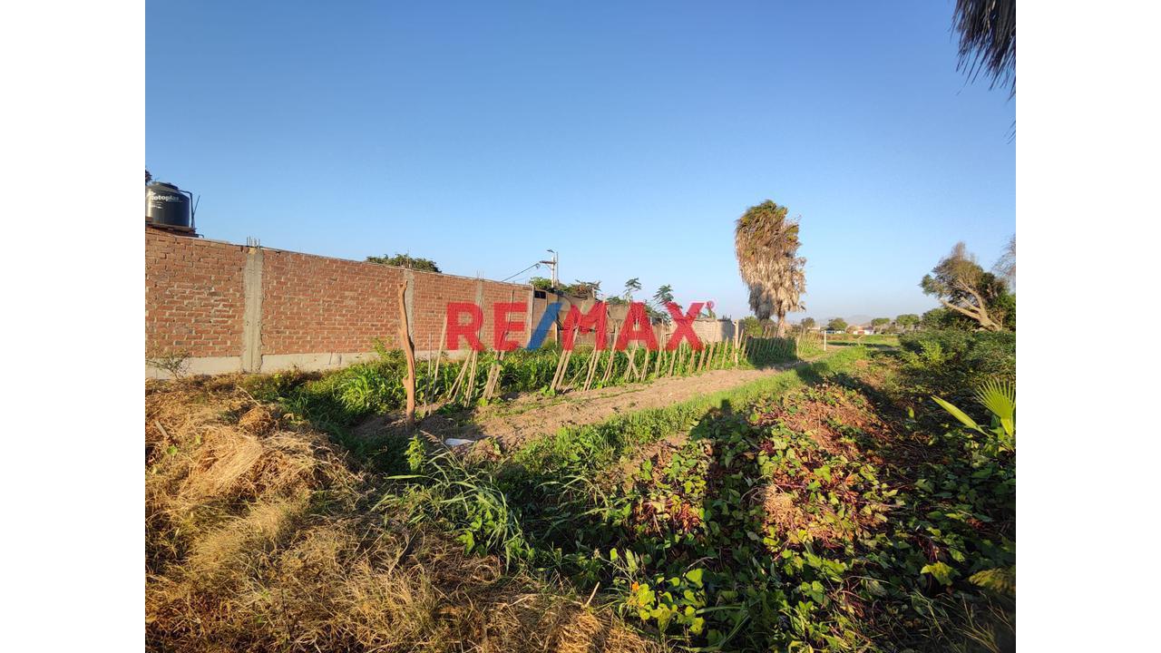 Venta Terreno En Santa Maria - Huaura - La Campiña - 1