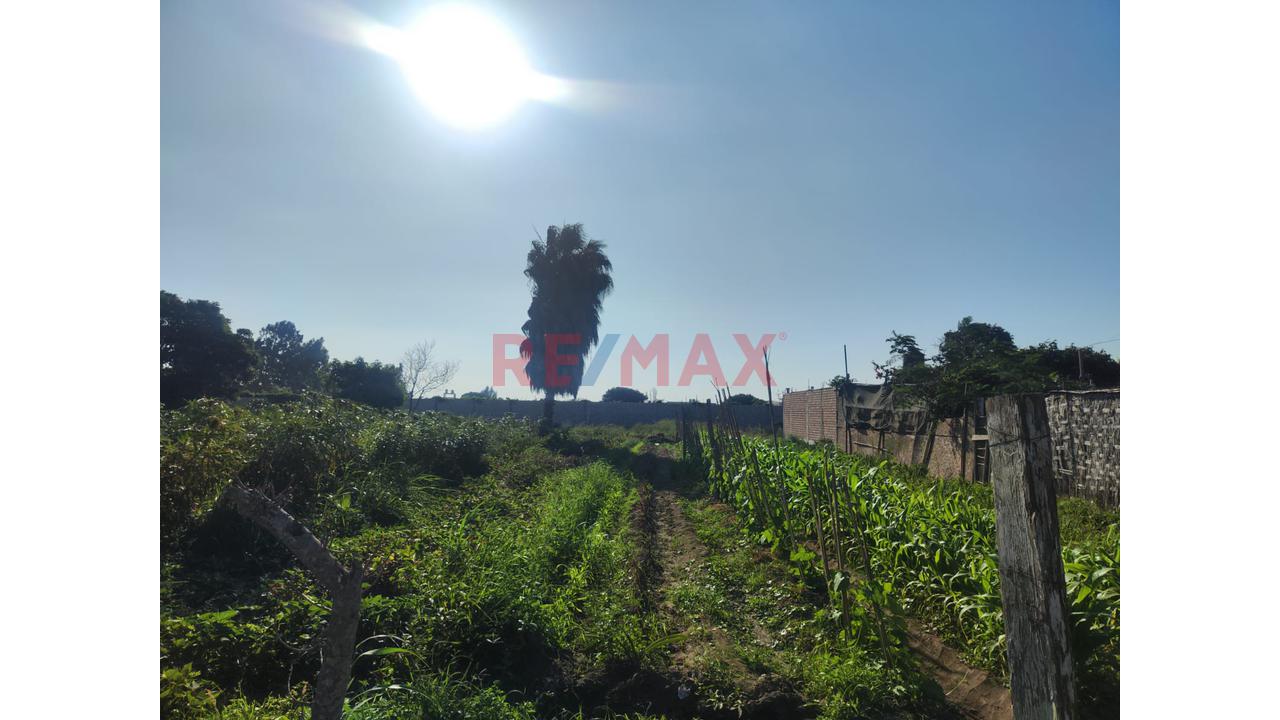 Venta Terreno En Santa Maria - Huaura - La Campiña - 4