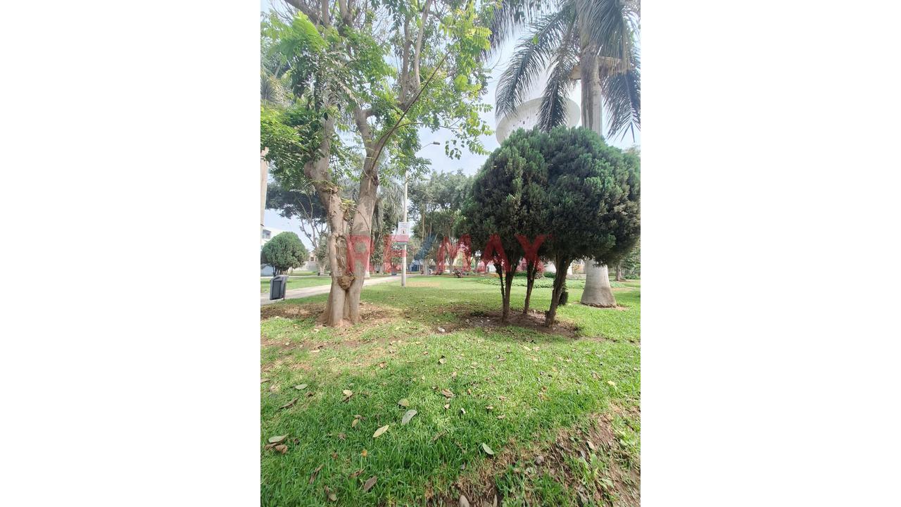 Dpto. Frente A Parque – Covima La Molina — foto 5
