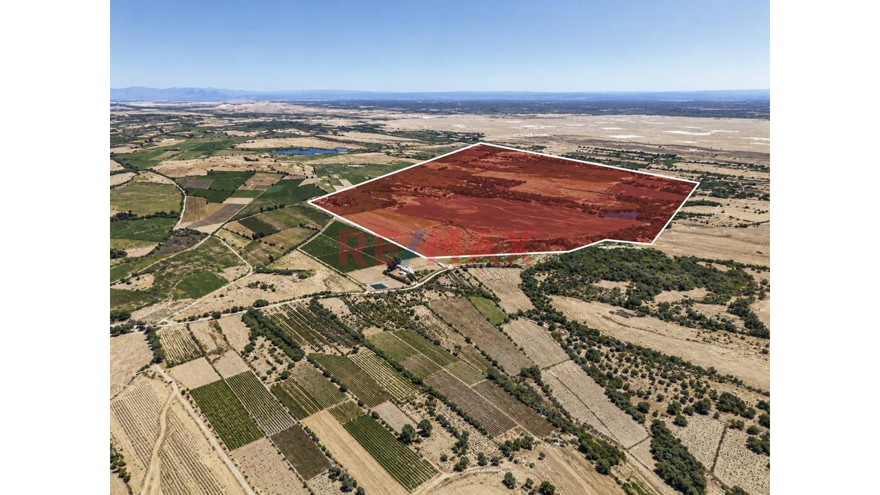 ¡55 Hectáreas En Pisco Para Invertir Y Proyectar Tu Futuro! - 4