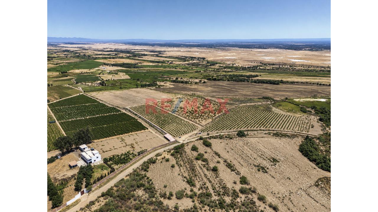 ¡55 Hectáreas En Pisco Para Invertir Y Proyectar Tu Futuro! - 5