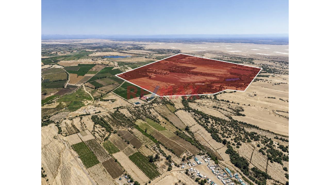 ¡55 Hectáreas En Pisco Para Invertir Y Proyectar Tu Futuro! - 2