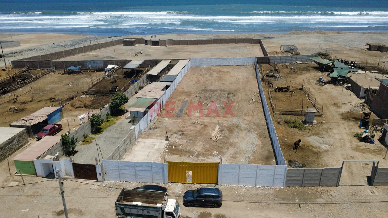 Terreno En Playa San Luis Con Cerro Azul - Cañete Km 138 Pan Sur (Usd 350 M2 Ocasion ) - 3