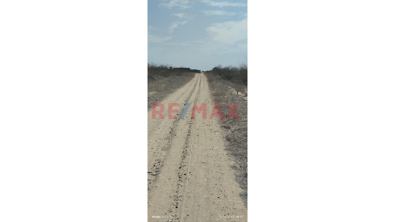 Se Vende Terreno De 10 Hectáreas A 5 Minutos De Sullana Con Acceso A La Carretera Panamericana Por Vía Carrozable En Perfecto Estado A 3 Minutos De La Panamericana Haz Tuya Está Propiedad Para Desarro - 4