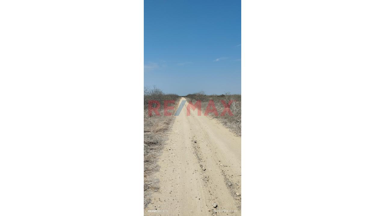 Se Vende Terreno De 10 Hectáreas A 5 Minutos De Sullana Con Acceso A La Carretera Panamericana Por Vía Carrozable En Perfecto Estado A 3 Minutos De La Panamericana Haz Tuya Está Propiedad Para Desarro - 5