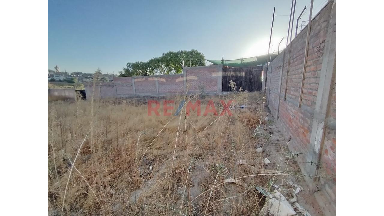 Terreno En Venta Con Doble Fachada — José Luis Bustamante Y Rivero - 6