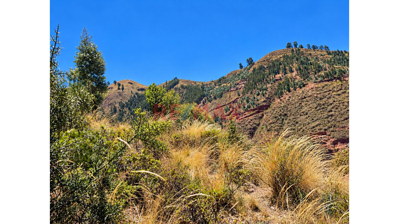 🏡🌿 ¡Invierte En Tu Futuro! Terreno En Venta En Saylla 🌄 - 5