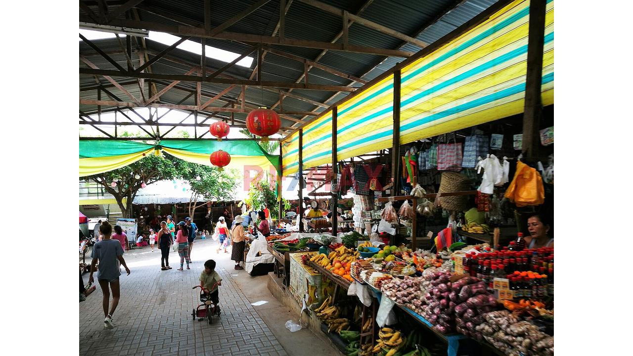 🌴 ¡Vive Y Invierte En La Ciudad De Las Palmeras! 🌴 📍 Tarapoto - San Martín - 16
