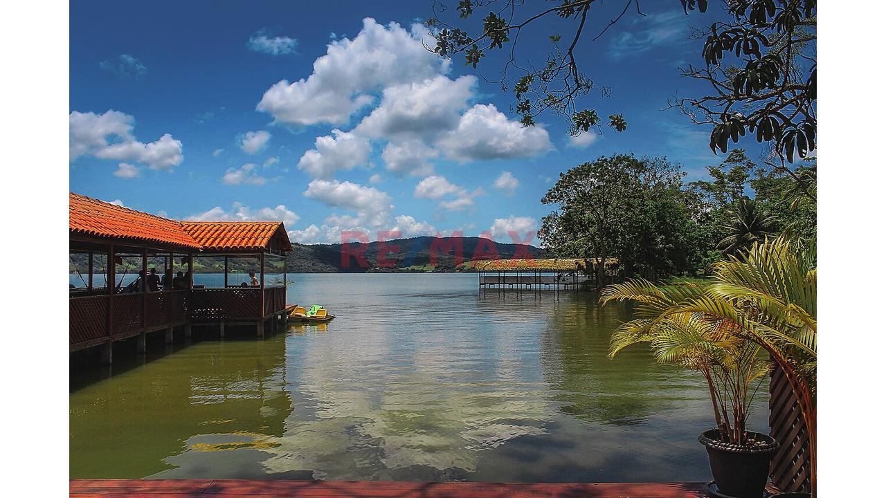 🌴 ¡Vive Y Invierte En La Ciudad De Las Palmeras! 🌴 📍 Tarapoto - San Martín — foto 13