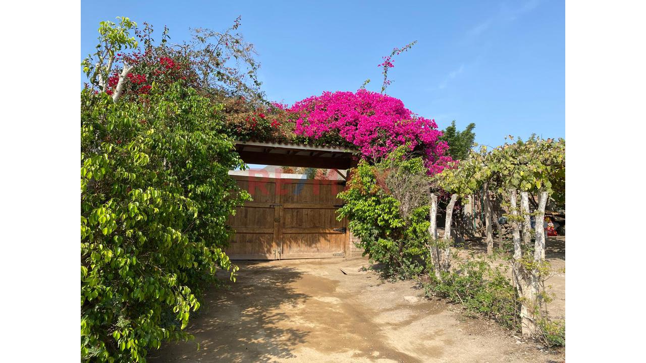 Exclusiva Finca En Venta En Azpitia! Finca Santa Catalina: Un Paraíso Privado Para Vivir, Disfrutar E Invertir - 19