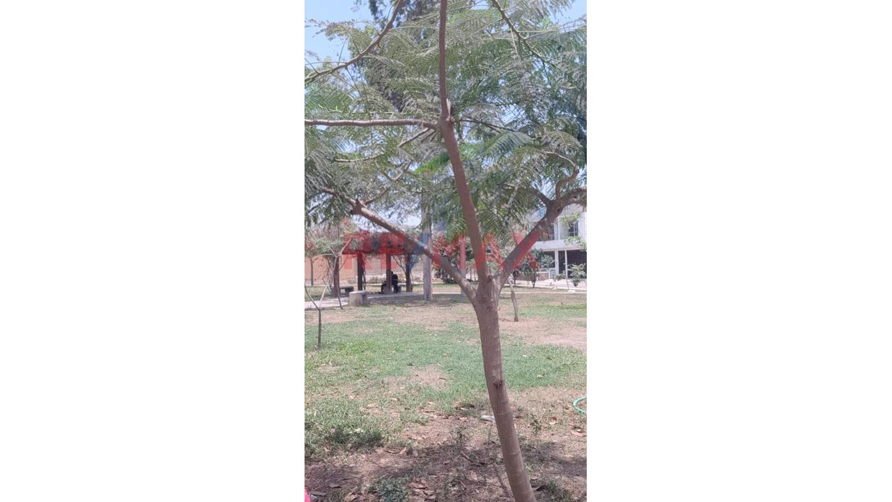 ¡Oportunidad De Inversión En Santa María De Carabayllo! Terreno En Venta De 139.31 M² Frente A Parque - 10