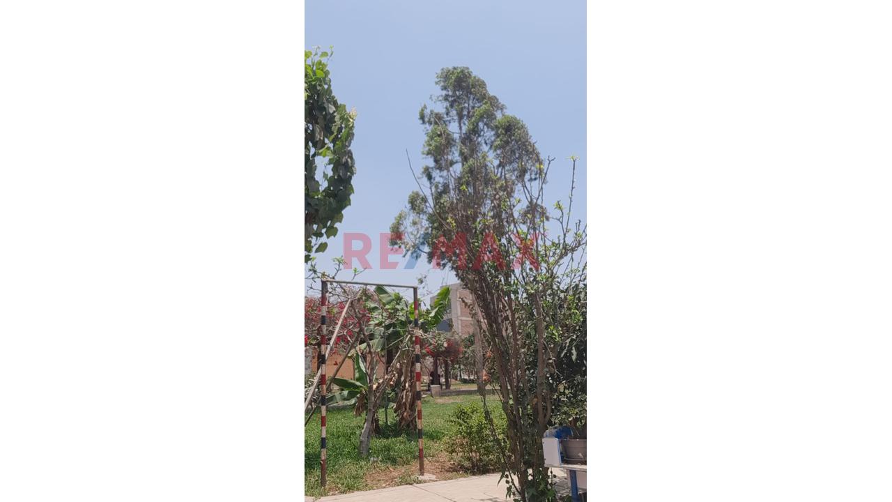 ¡Oportunidad De Inversión En Santa María De Carabayllo! Terreno En Venta De 139.31 M² Frente A Parque - 5