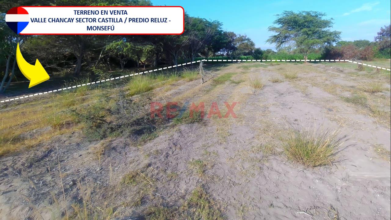 Terreno En Venta, Monsefu - 8