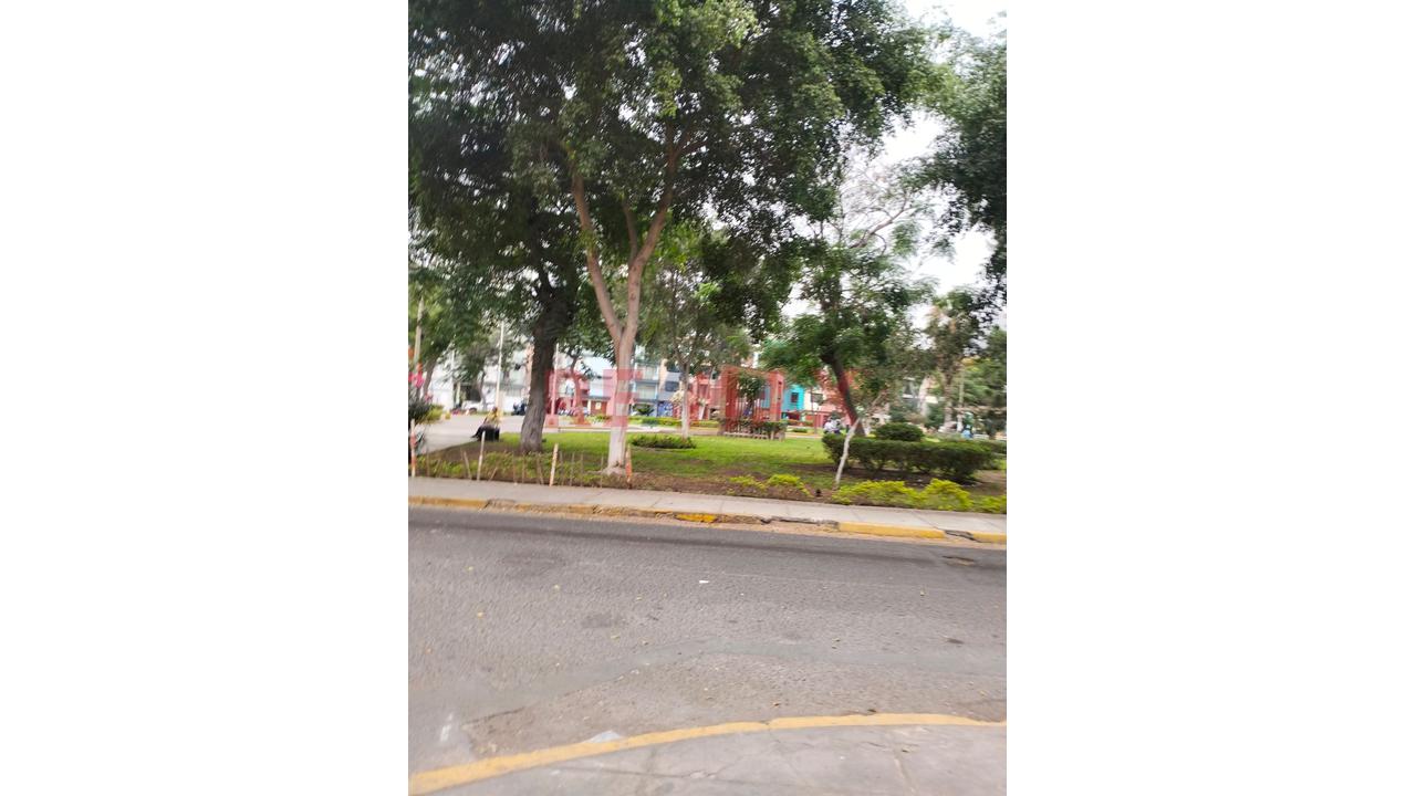 Amplio Local Comercial En Los Olivos - 8
