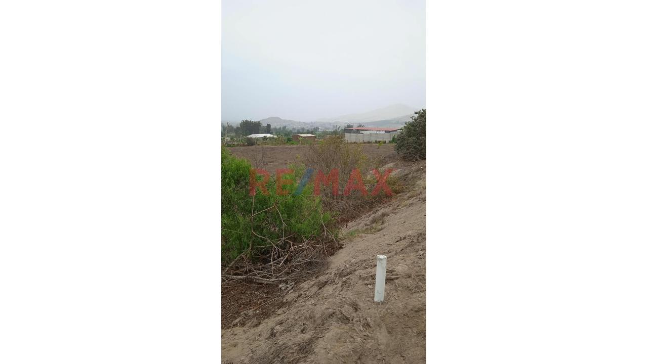 🌿🏡 Venta De Terreno Rural De 14,262 M² Con Casa De Campo En El Hatillo – Chancay 🌳✨ - 9