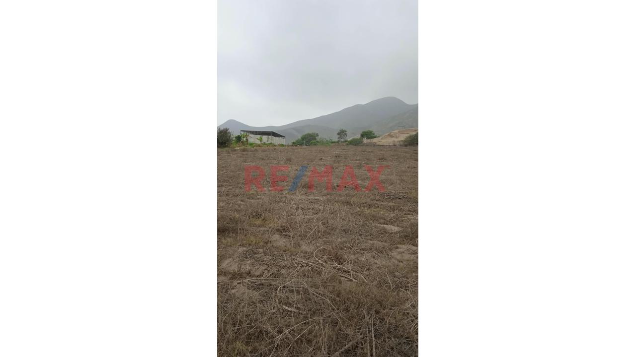 🌿🏡 Venta De Terreno Rural De 14,262 M² Con Casa De Campo En El Hatillo – Chancay 🌳✨ - 5