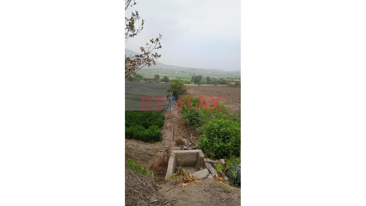🌿🏡 Venta De Terreno Rural De 14,262 M² Con Casa De Campo En El Hatillo – Chancay 🌳✨ - 8