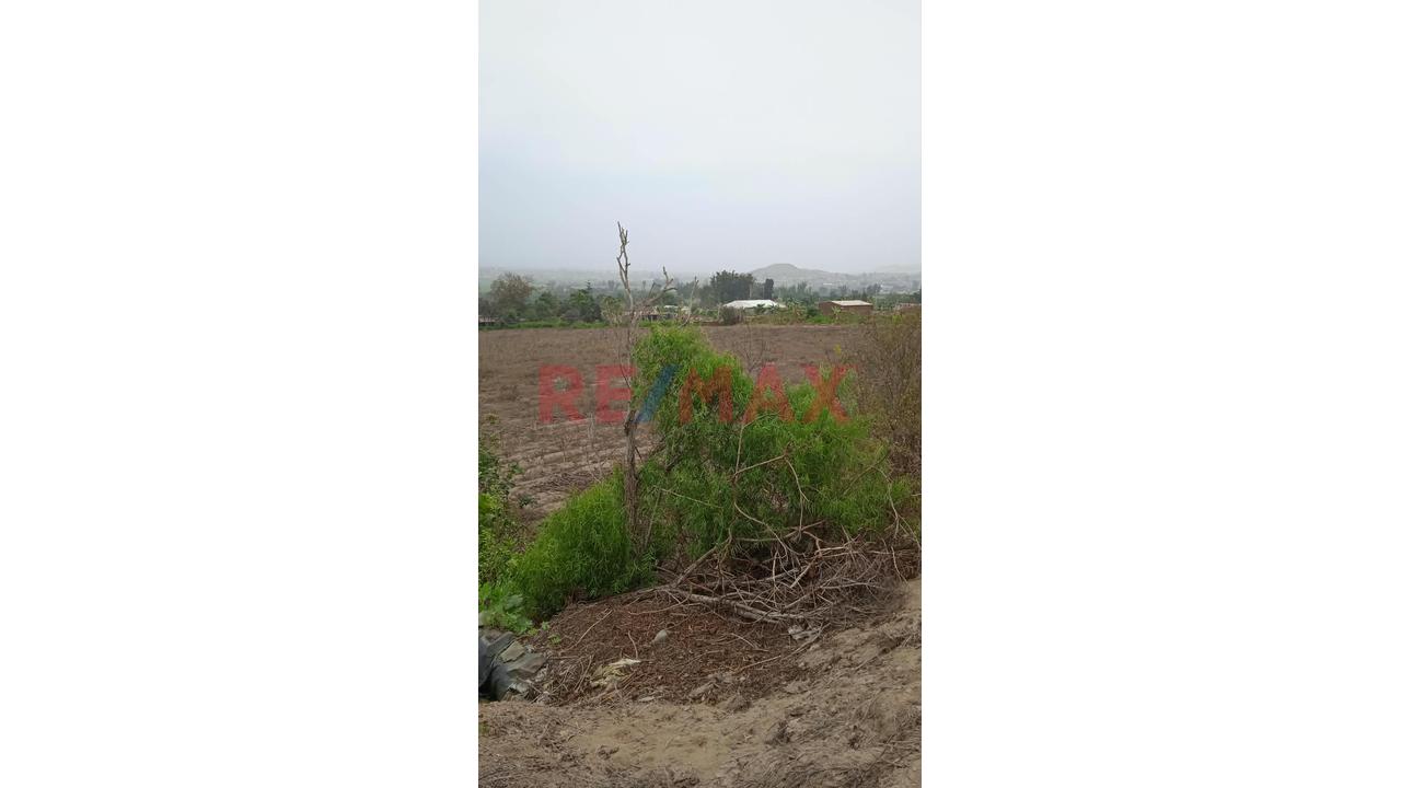 🌿🏡 Venta De Terreno Rural De 14,262 M² Con Casa De Campo En El Hatillo – Chancay 🌳✨ - 7