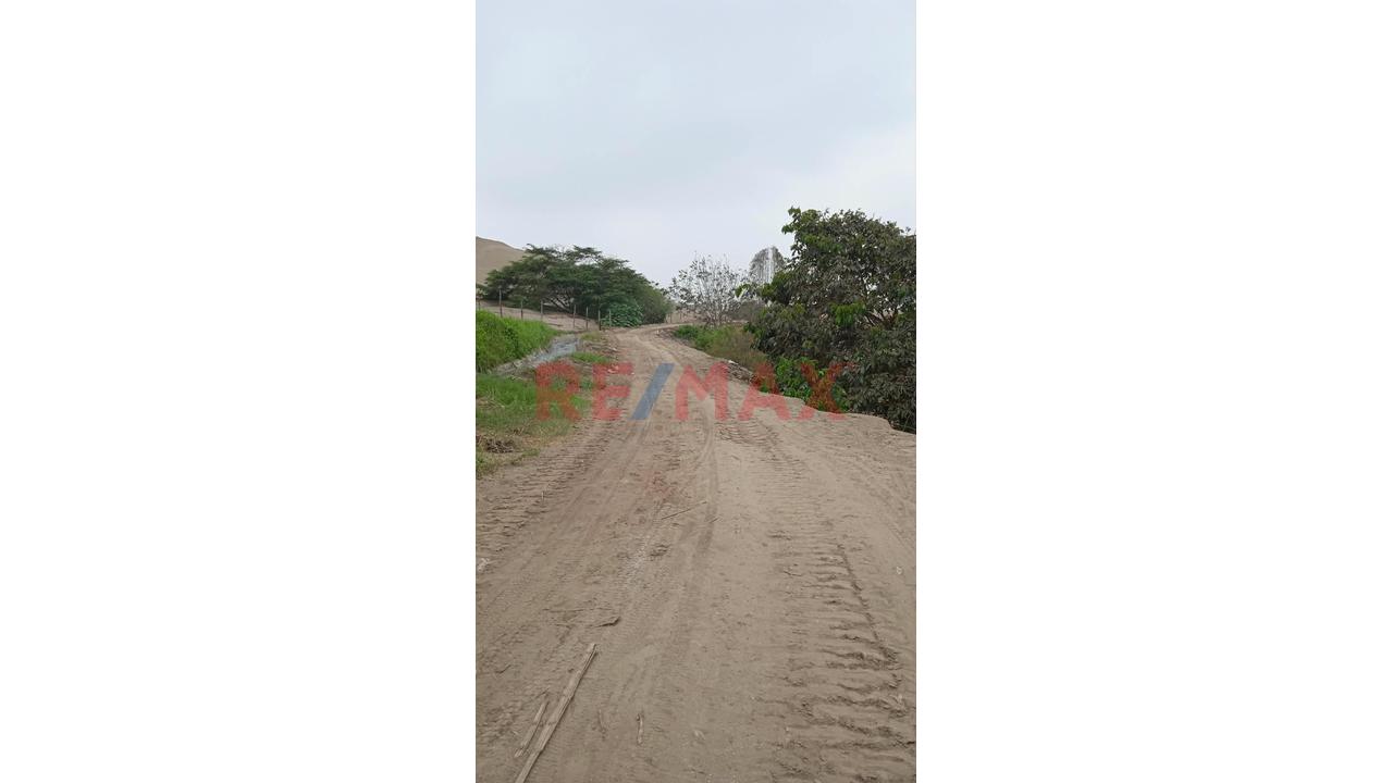 🌿🏡 Venta De Terreno Rural De 14,262 M² Con Casa De Campo En El Hatillo – Chancay 🌳✨ - 6